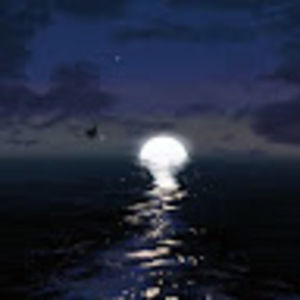 Meet your Posher, Bella